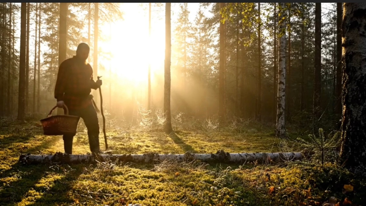 «тихая охота»