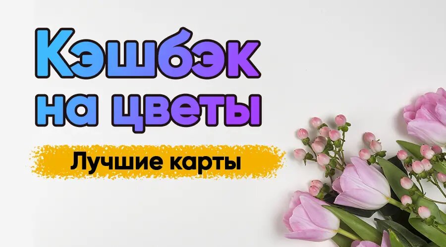 Фото: https://dzen.ru/finpodbor