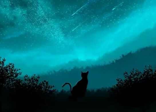 взято из Интернета