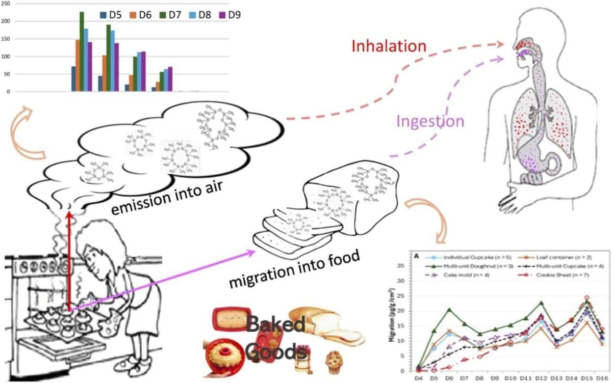    Попадание силоксанов в еду и воздух во время готовки / © Journal of Hazardous Materials