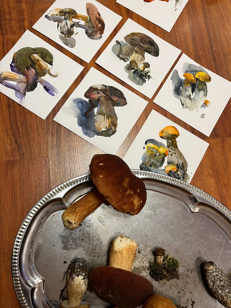 акварельные грибы