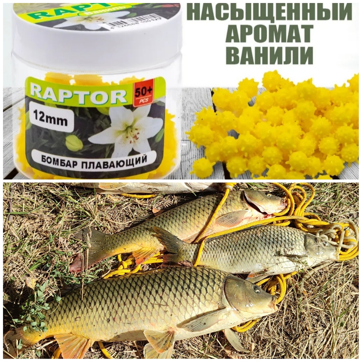 Вот такие красавцы были выловлены на "коронавирус".фото взято из личного архива. 