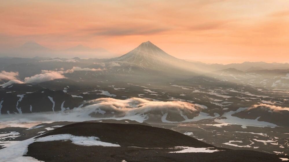    Фото: Olga Gavrilova/Shutterstock/Fotodom