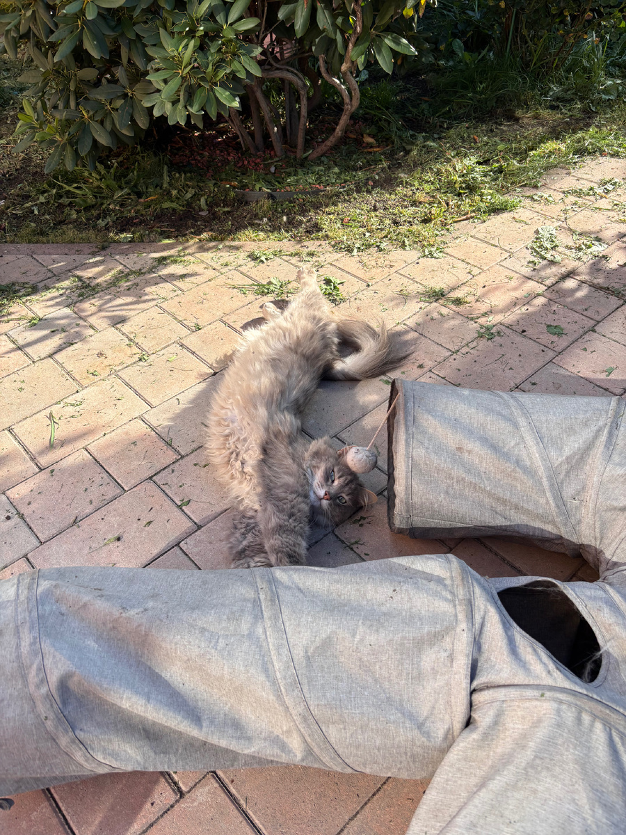 Живет свою лучшую жизнь