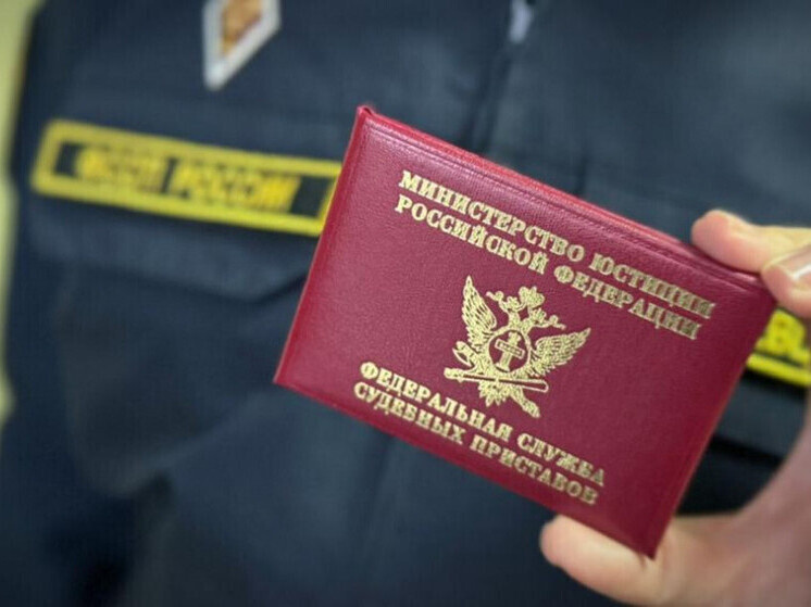     Источник: УФССП России по Тамбовской области