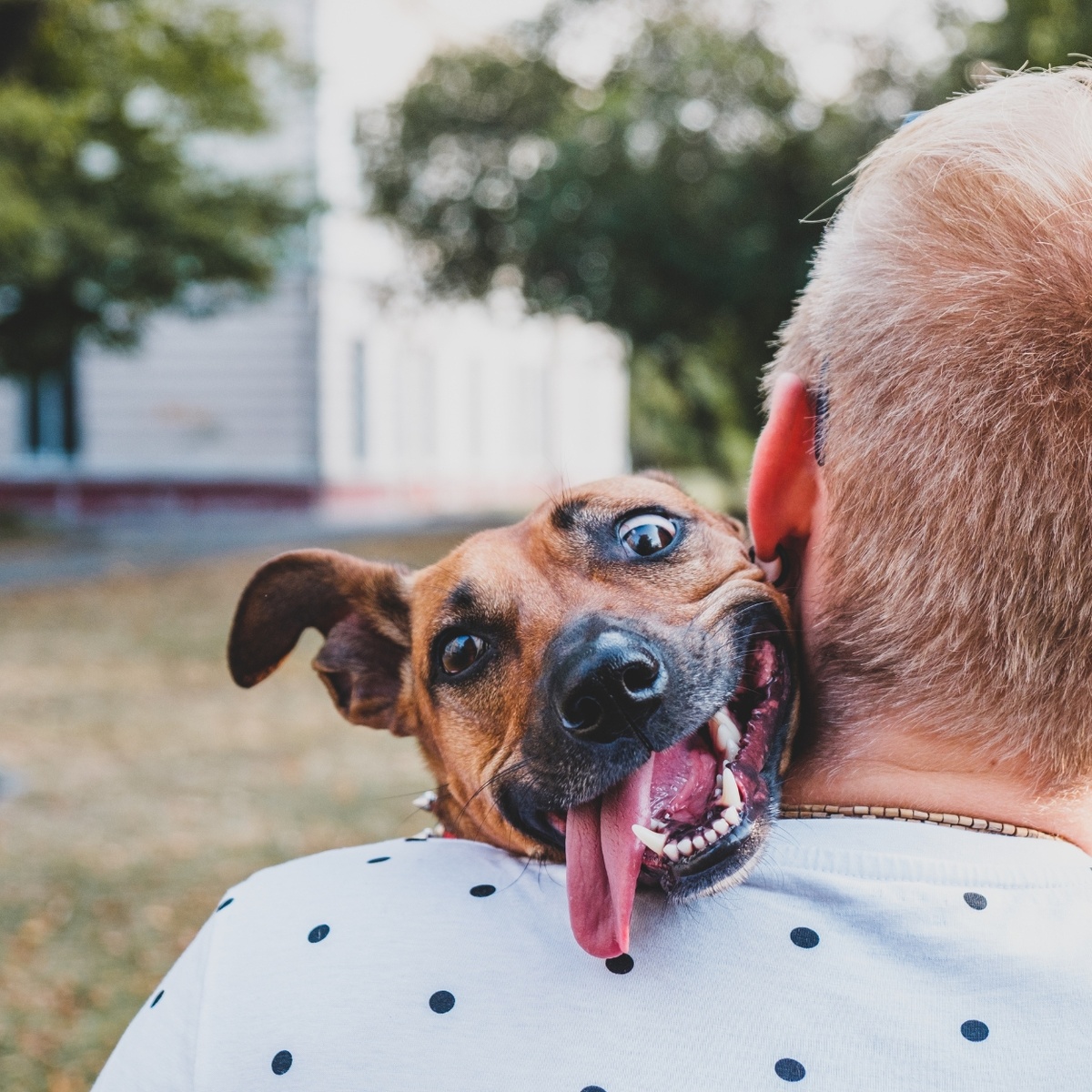 Слишком крепкие объятия :-)