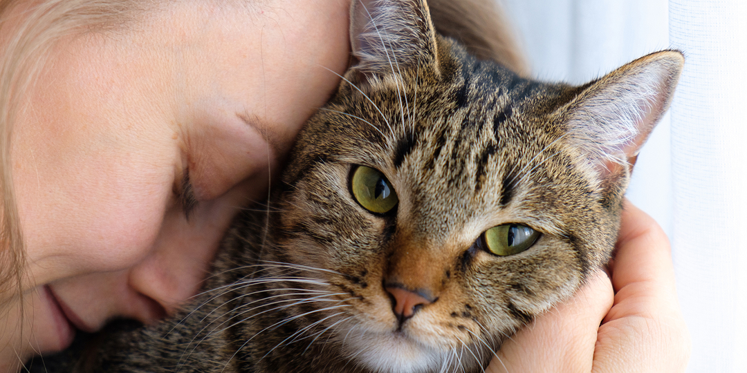 😽Миссия кошки: зачем она пришла именно к вам