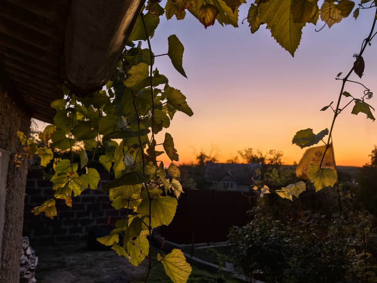День обещает быть чудесным