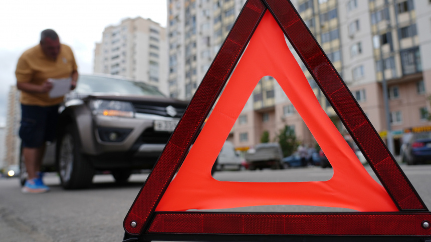    Фото: ИЗВЕСТИЯ/Дмитрий Коротаев; 5-tv.ru