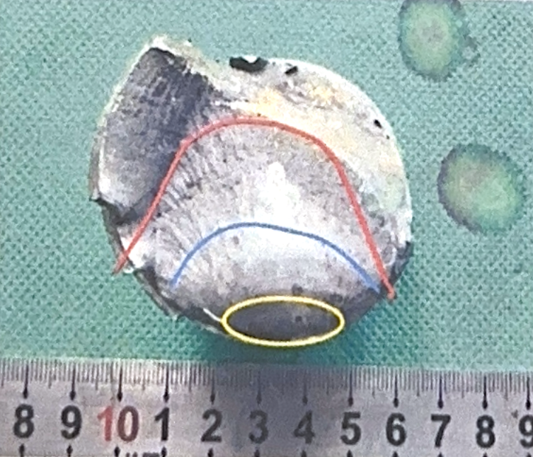 Рисунок 2. Оборванный сегмент. Вид сверху.