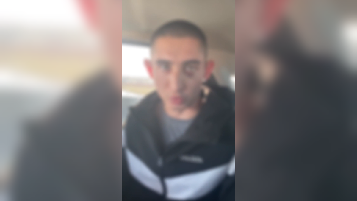 Автор: В. ПАнченко