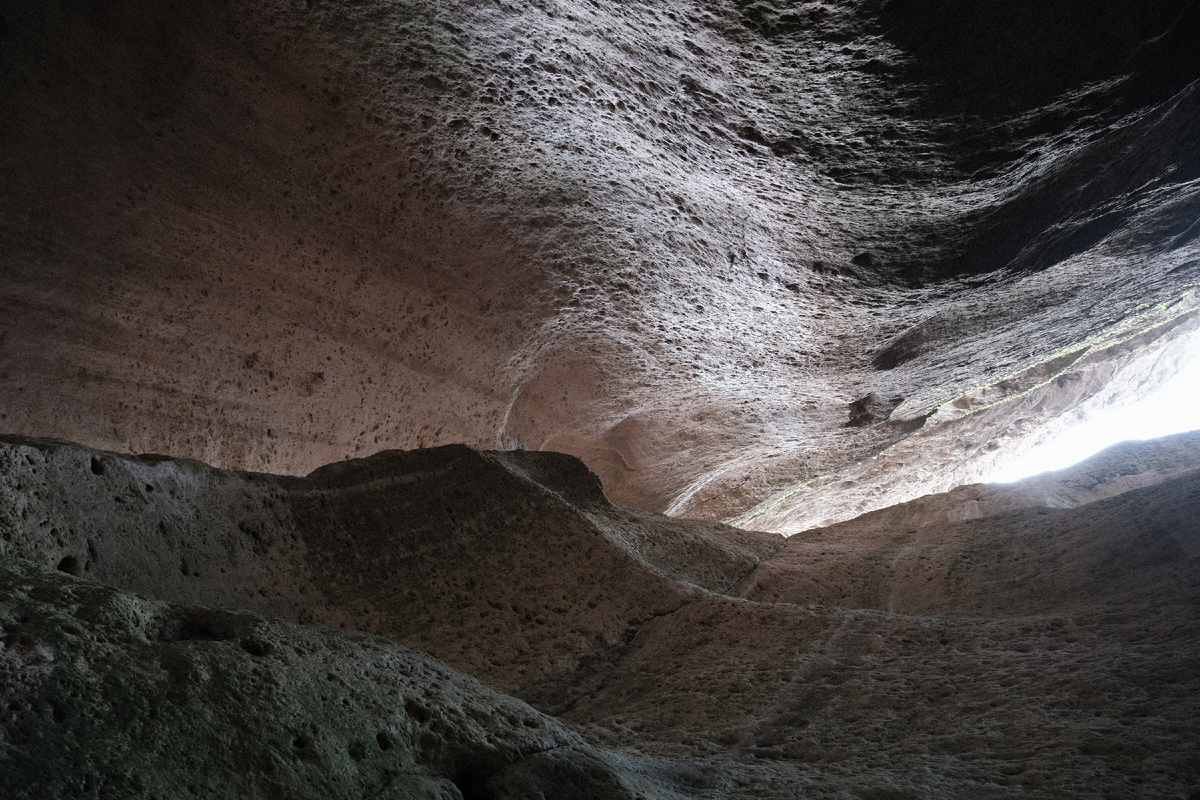 Фото все с того же 2022. С 2023, к сожалению, не сохранились, поэтому качество, возможно, будет не всегда хорошим)