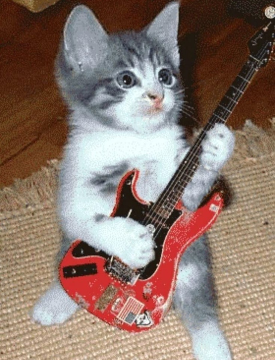 Фото из интернета