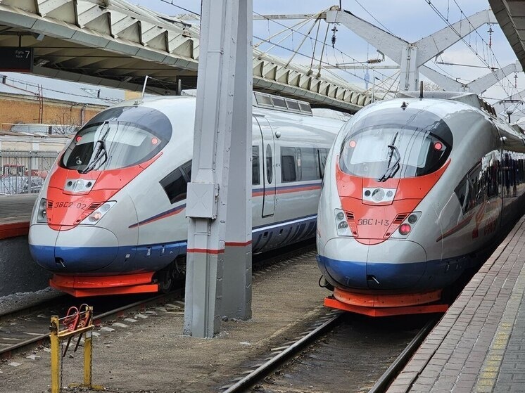     По обычному графику поезд прибывает в 19:35 на Московский вокзал. Фото: архив МК в Питере