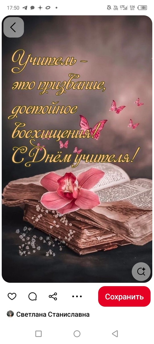 ( Скриншот из интернета.) 