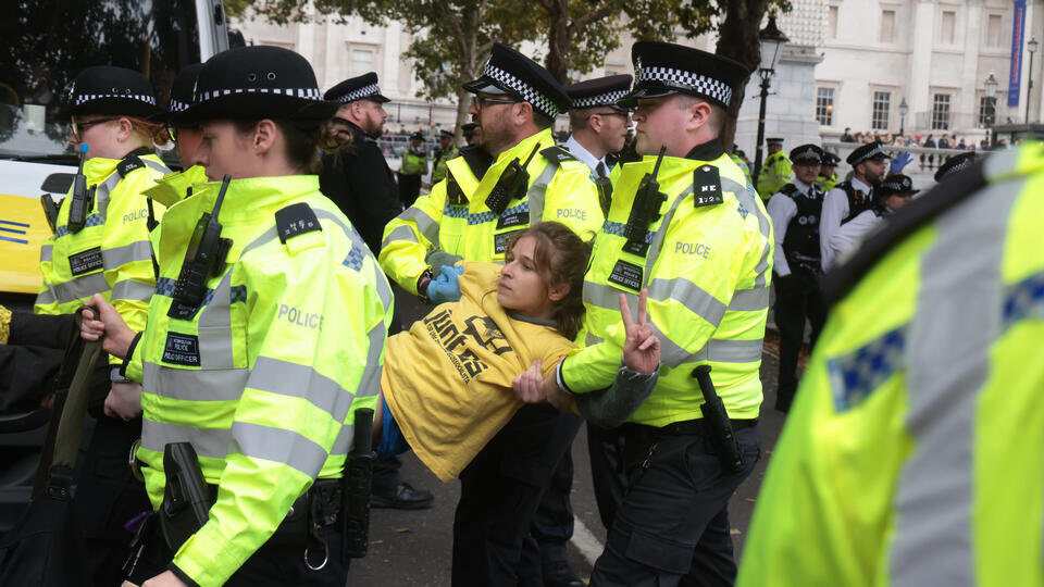     В Лондоне задержали 175 человек на митинге в поддержку Palestine Action Martyn Wheatley/i-Images/Zuma/TASS