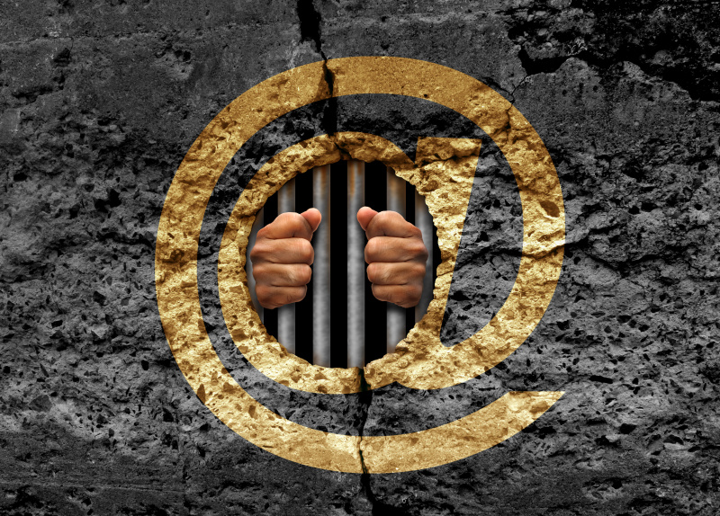    Фото: Lightspring/shutterstock