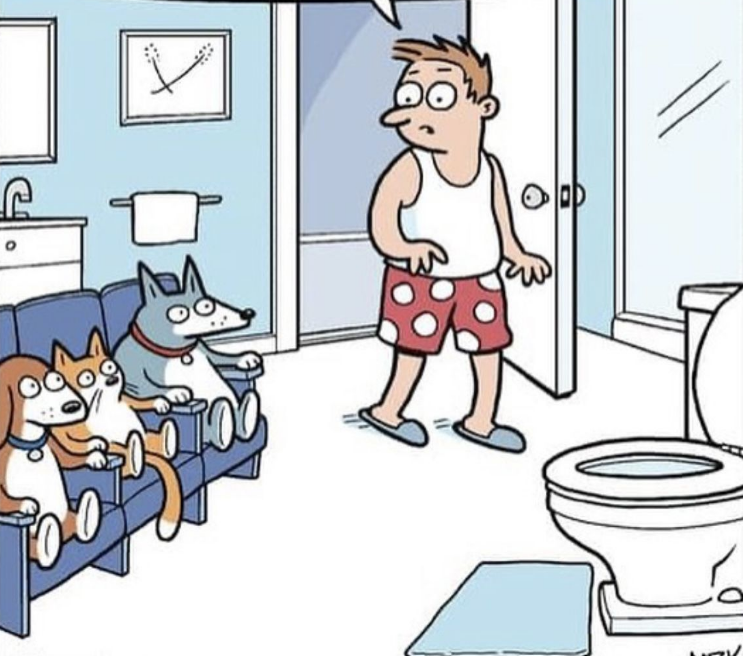 Источник Яндекс картинки