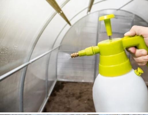 Уборка в теплице осенью.