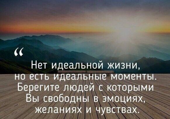 Яндекс-картинки. Мудрые слова Аристотеля