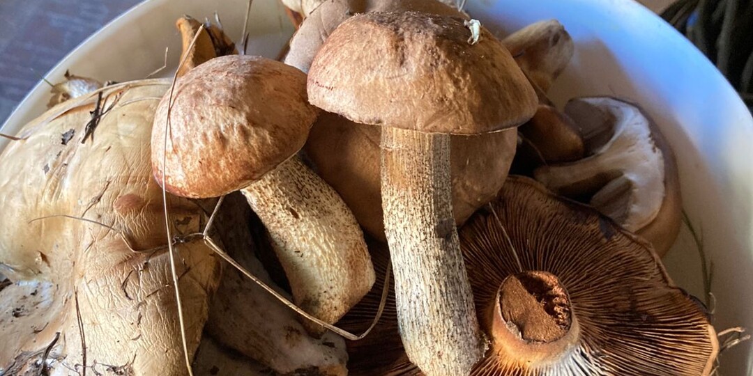 Простить легче, когда находишь оправдание человеку