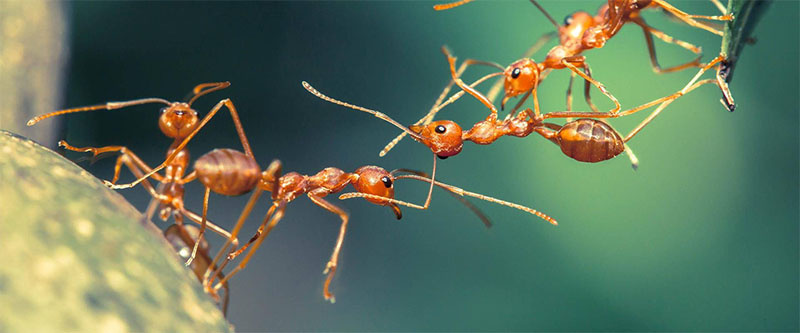 Источник: bcms-files.s3.amazonaws.com