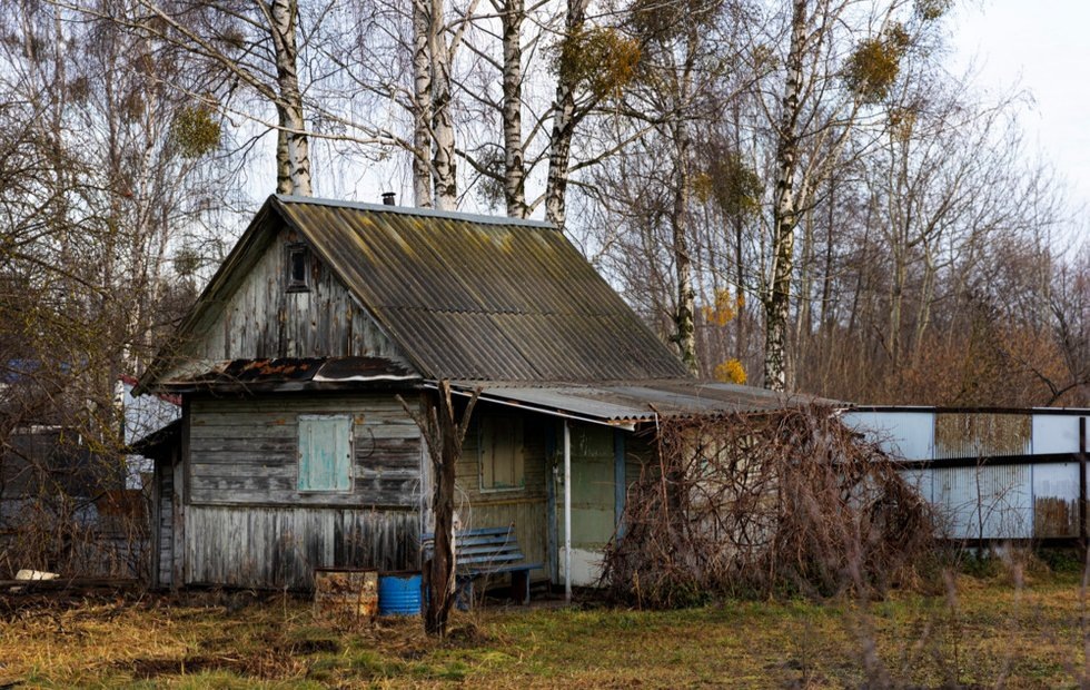 Фото с сайта: freepik.com