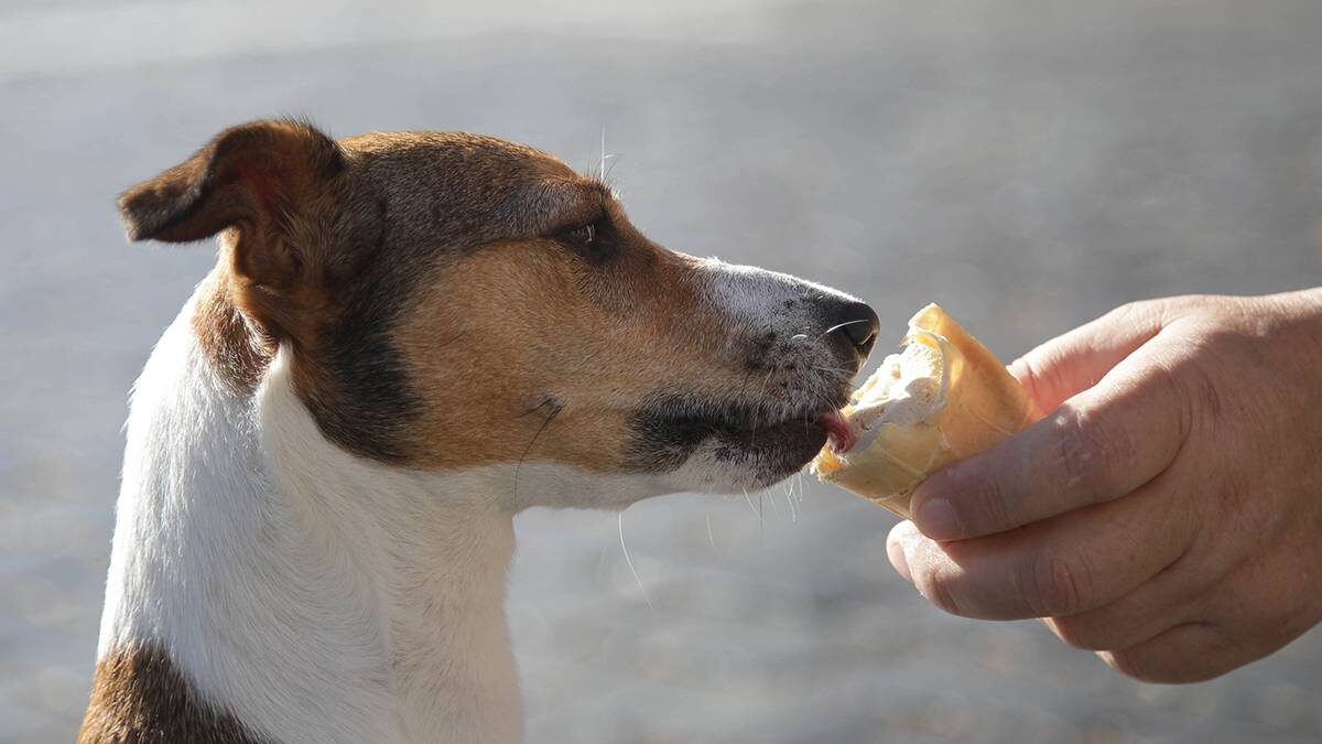    Фото: Артур Новосильцев / АГН Москва