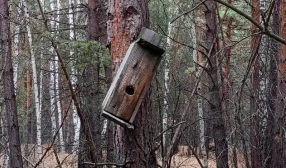 Про деревенский отдых в субботу