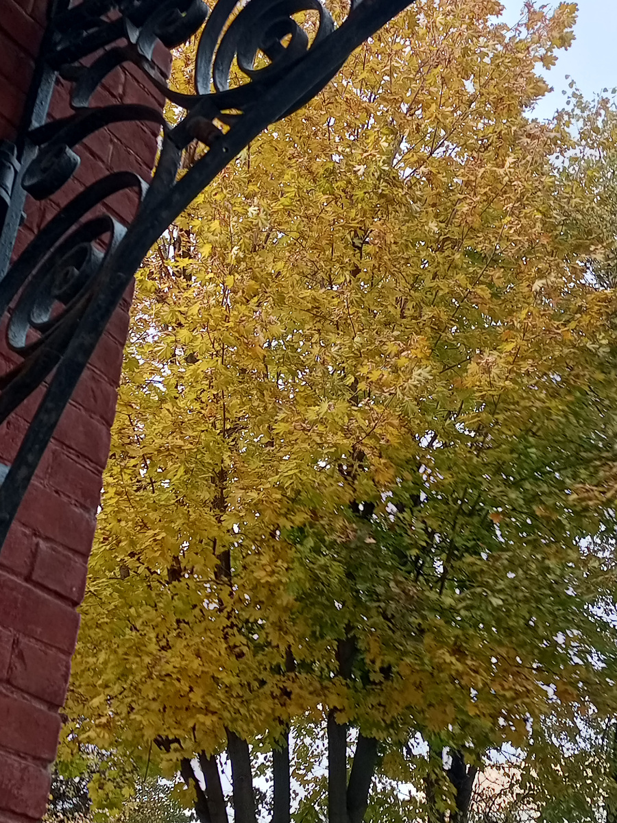 Вот такая красивая осень