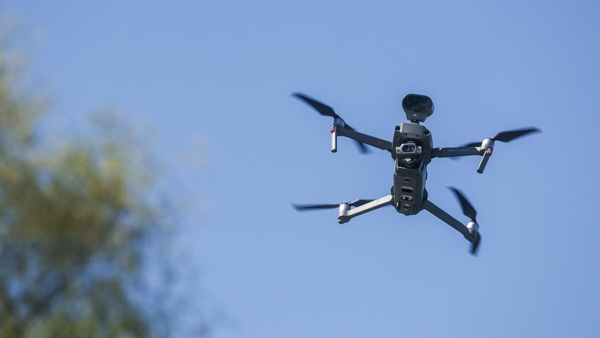    Фото: Belkin Alexey/globallookpress.com