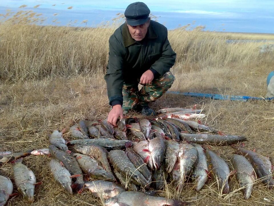 Аппетиты у всех разные... Как и совесть... 