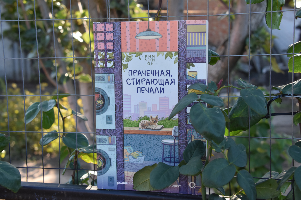 Фото автора, 4 октября 2025 год.