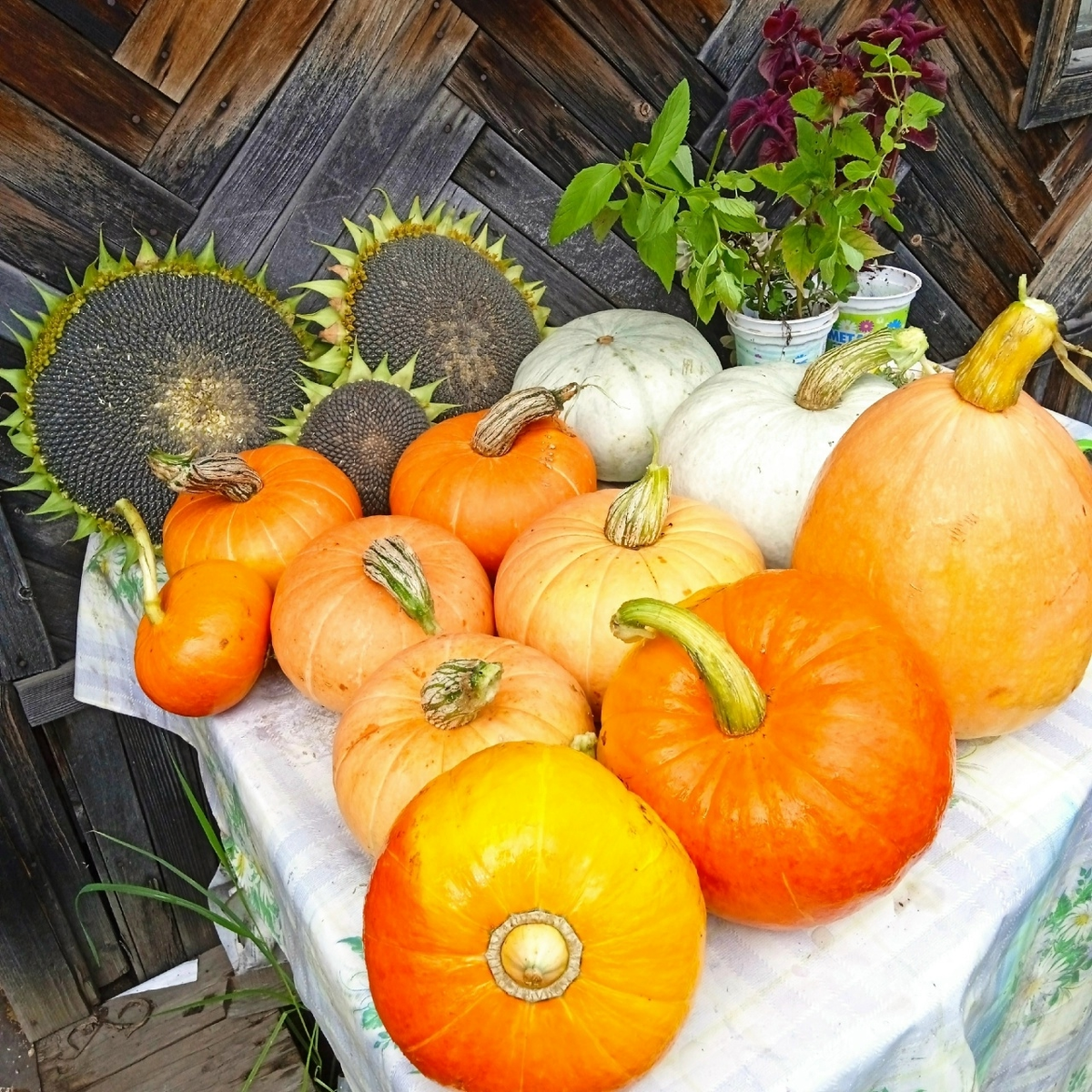 фото из открытых источников интернет