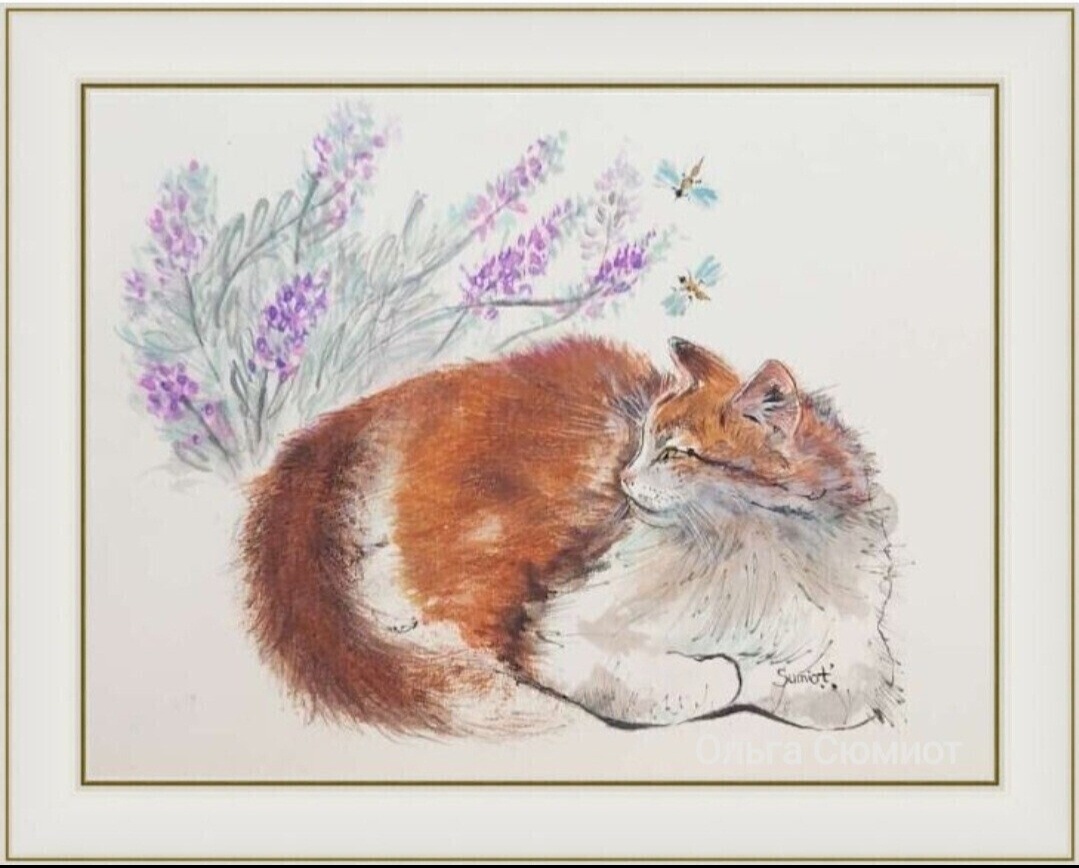 Кузя, лавандовый кот. 