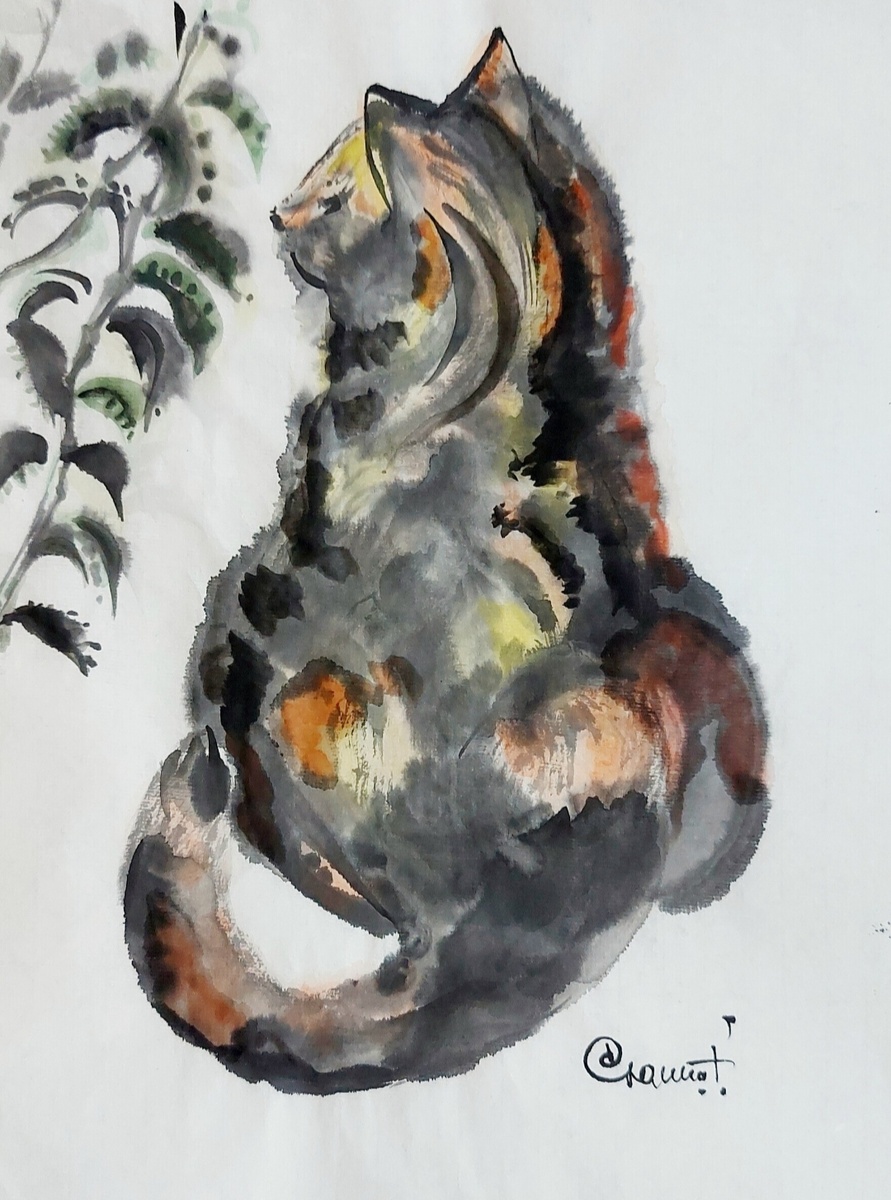 Писали, что такой бывает только кошка, но вот он, кот... Он на закате стал цветным немножко)) 