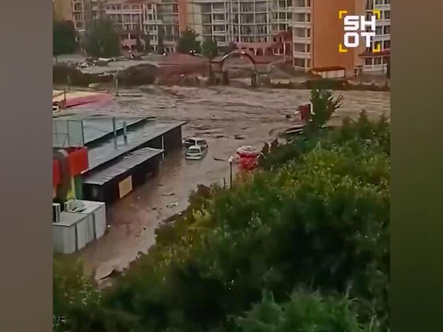    Фото: телеграм-канал SHOT