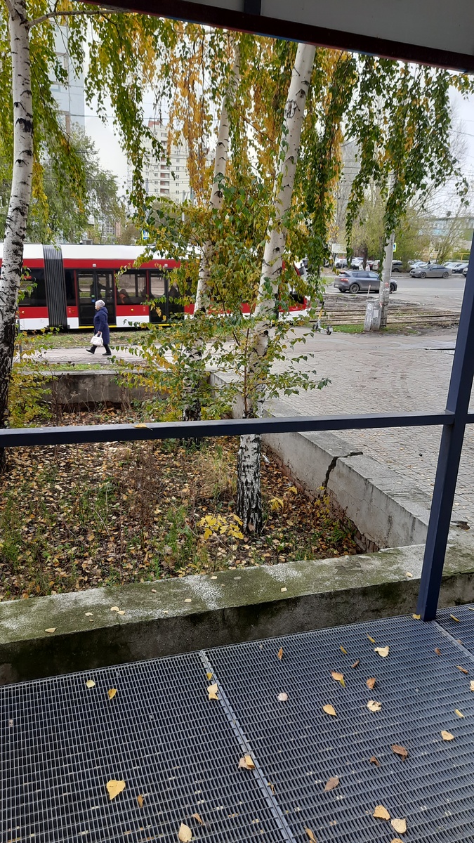 А за дверями берёзки в золоте стоят.