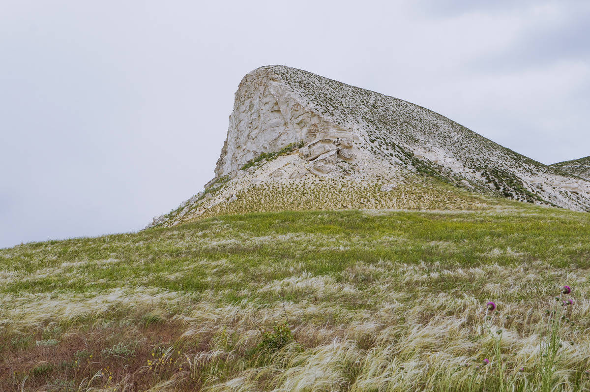 Природный парк "Донской"