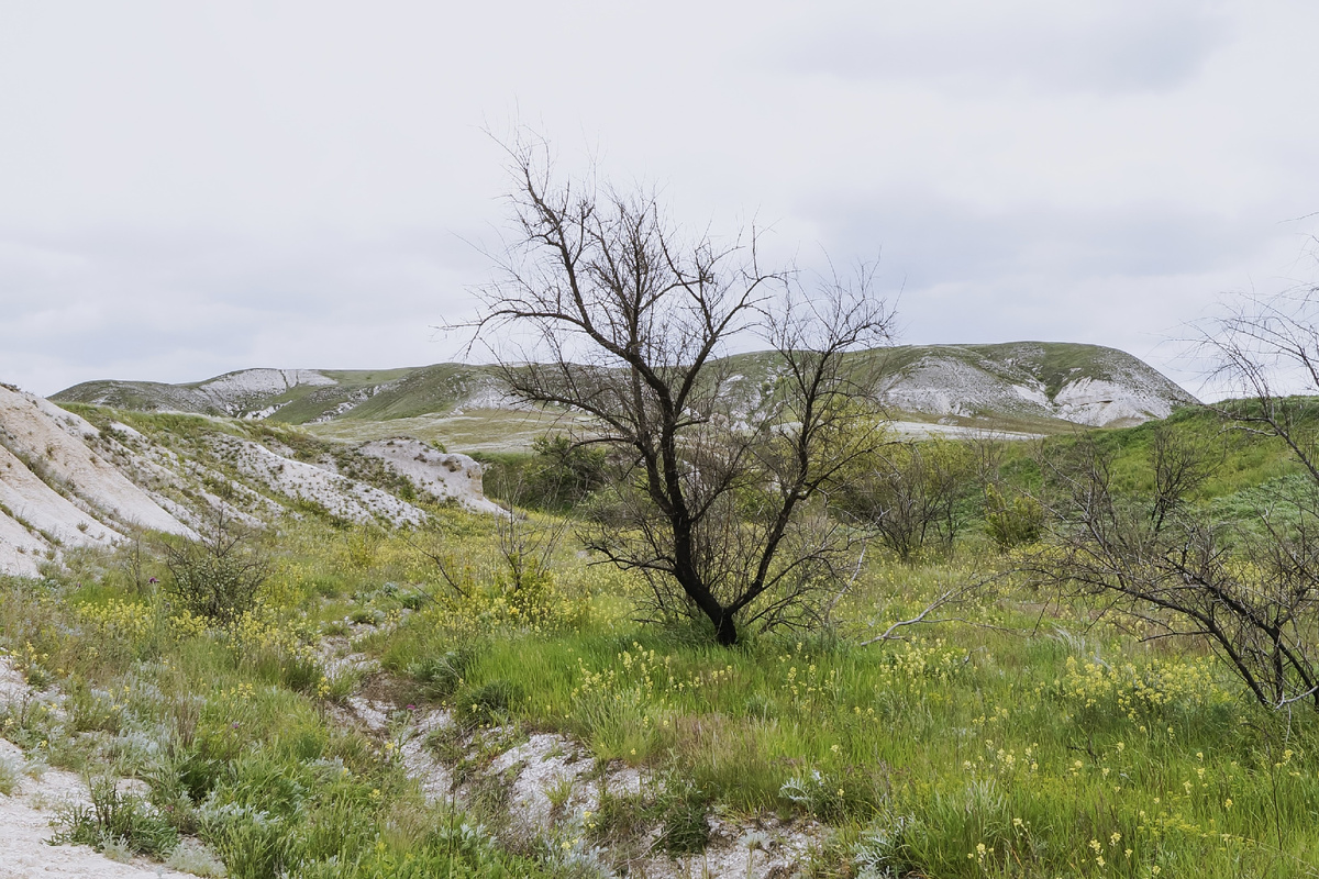 Природа парка