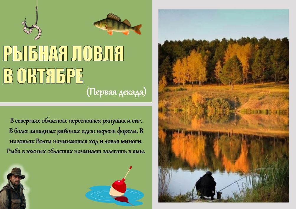 Первая декада месяца 