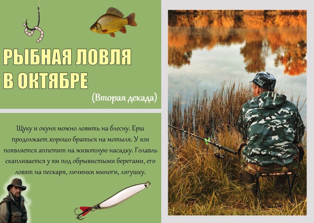 Вторая декада месяца 