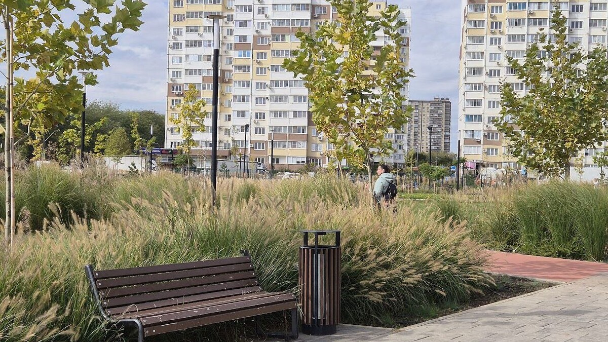    Фото: телеканал «Краснодар»