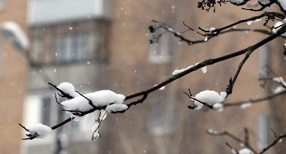    Снегопад в Кашире / Медиасток.рф