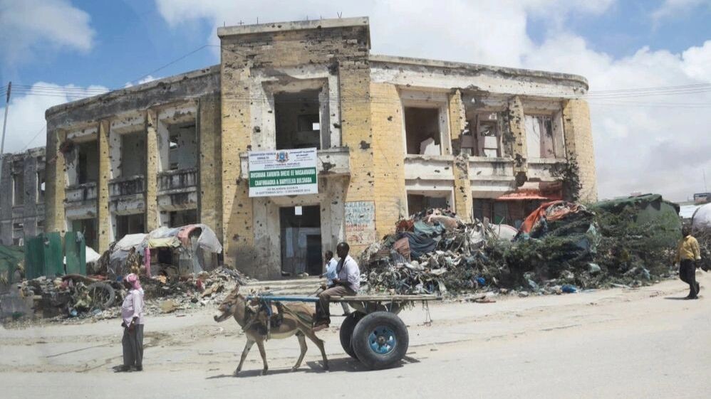    Фото: MDart10/Shutterstock/Fotodom