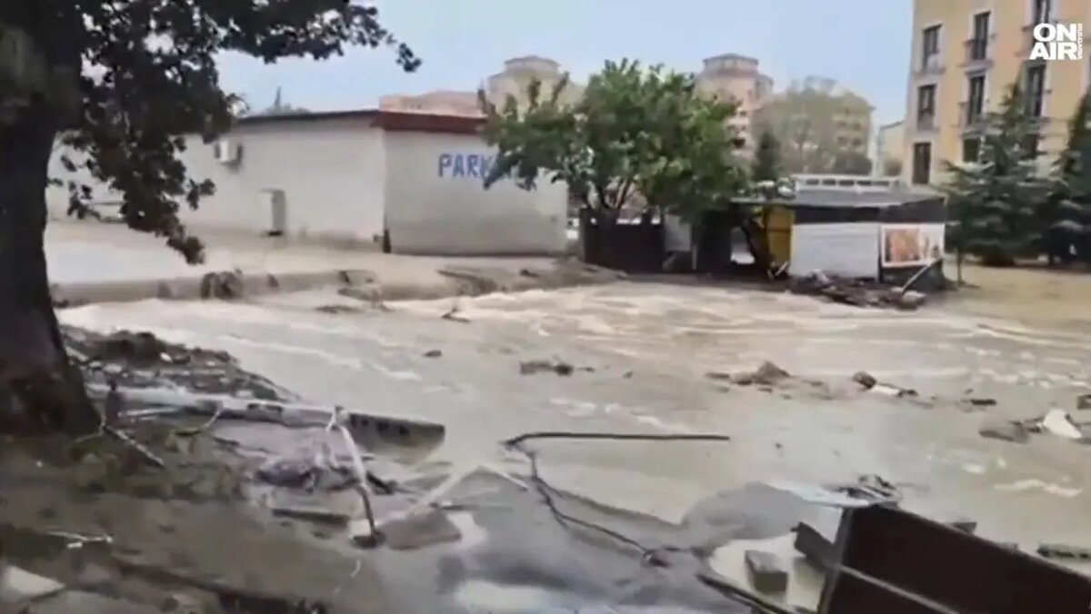    Фото: скриншот из видео СМИ Болгарии.