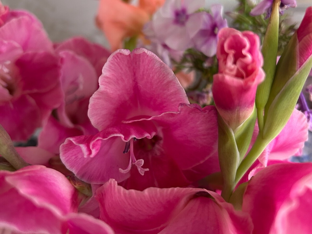 Красота от нашей феи-дачницы