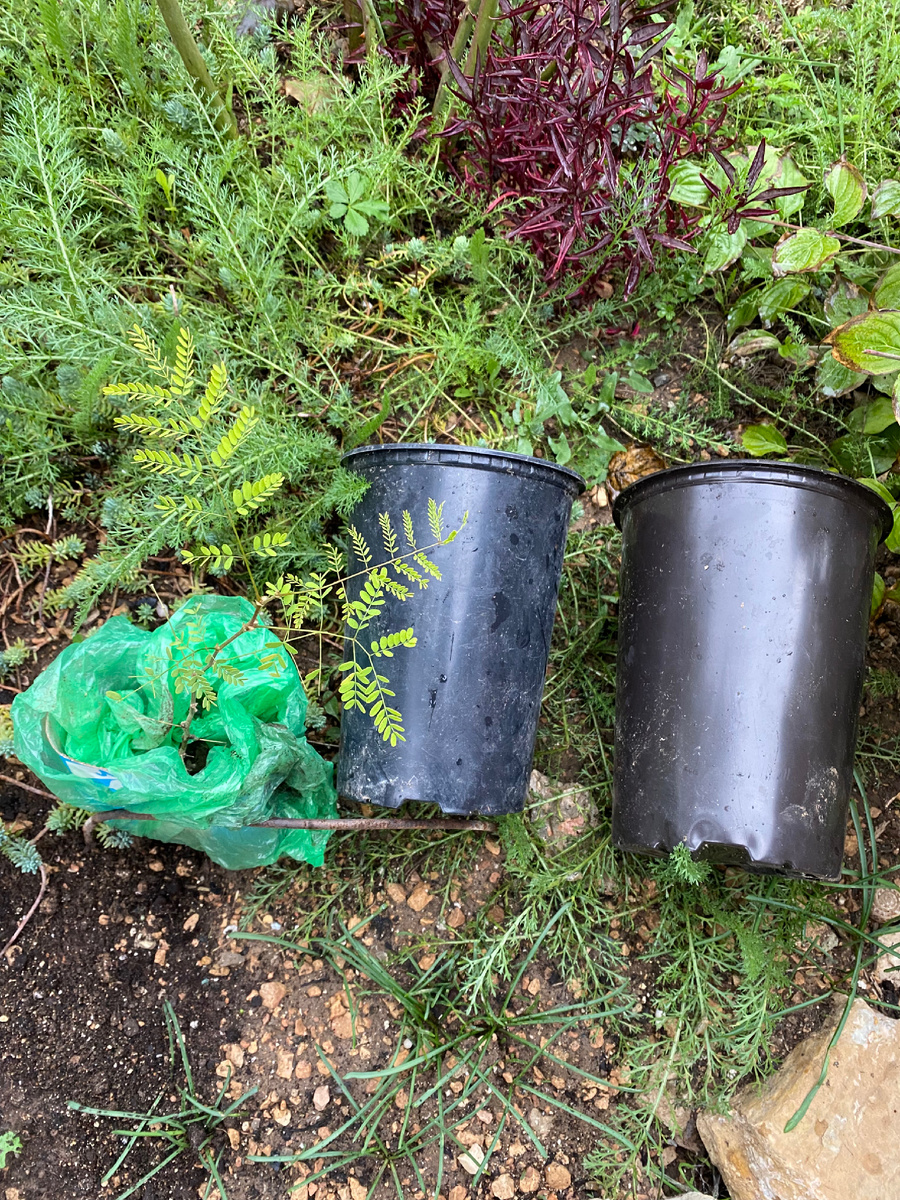 Фото октябрь 25.