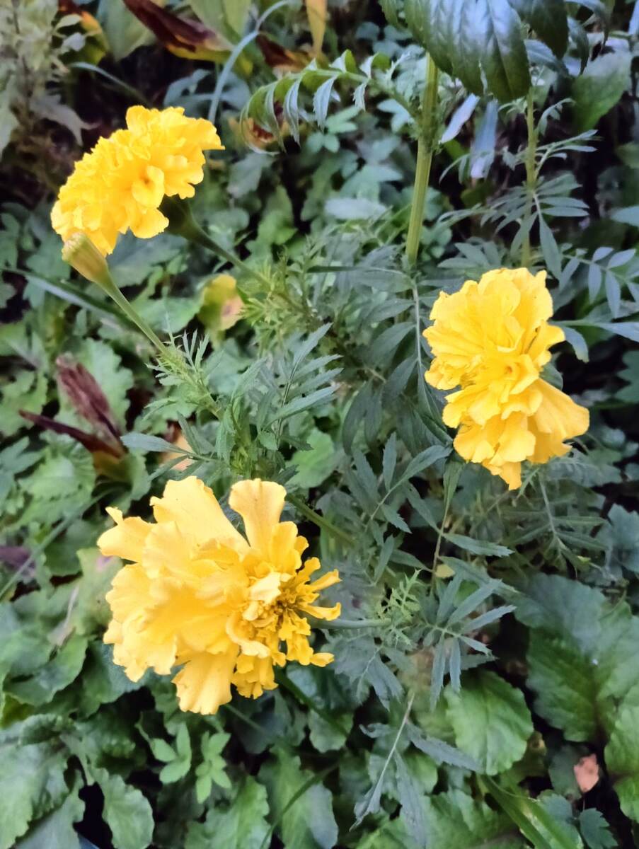 Фото Ольги Сухановой