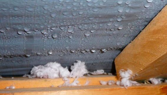 Конденсат под крышей